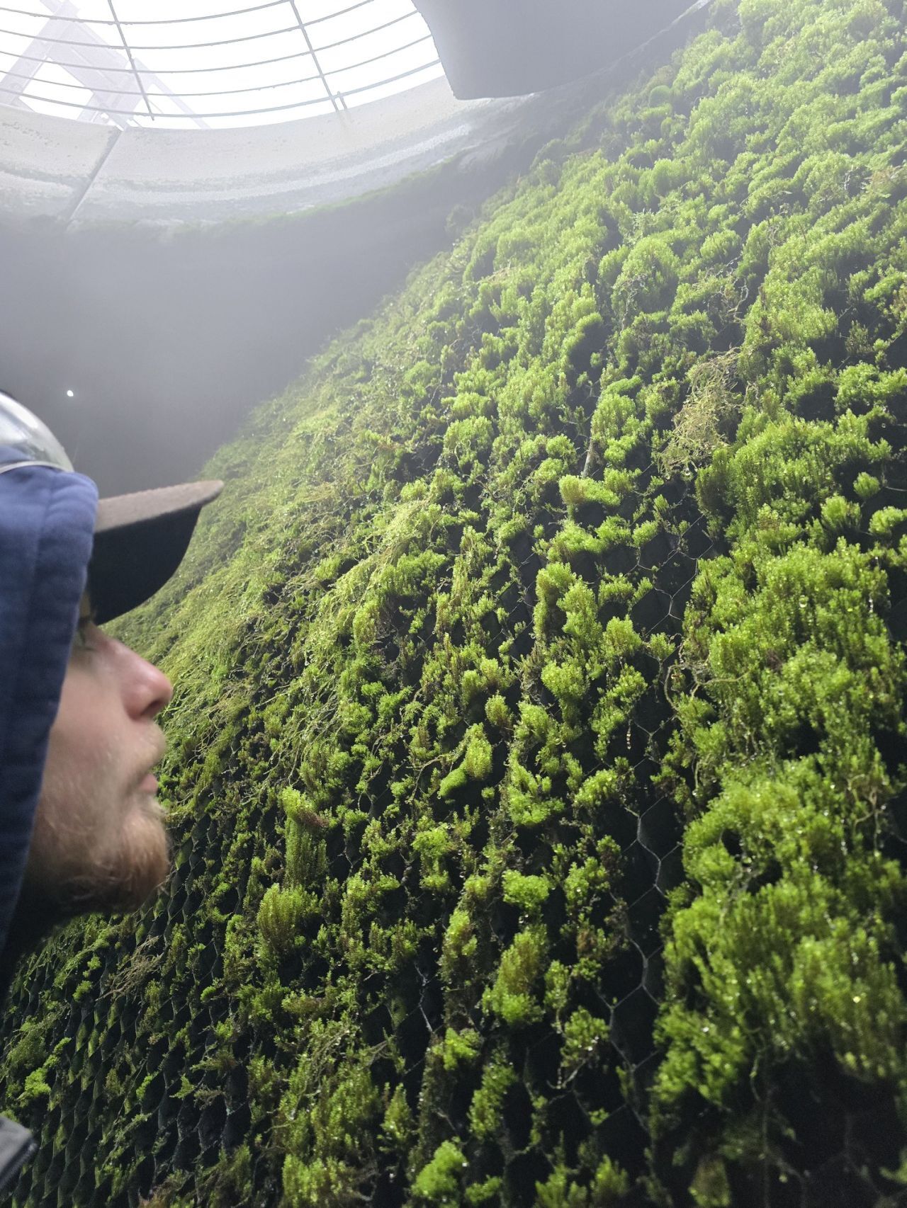 Northeast HVAC Moss growth